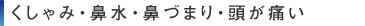 くしゃみ・鼻水・鼻づまり・頭が痛い